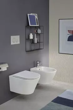 Биде подвесное Jacob Delafon Rodin+ EMJ0002-00