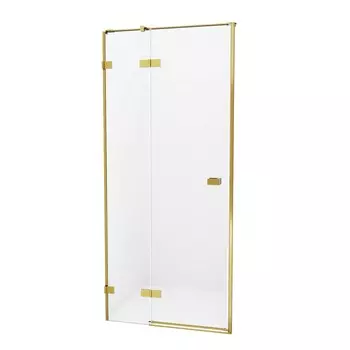Душевая дверь NEW TRENDY Avexa Gold EXK-1716