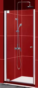 Душевая дверь в нишу Alpen Alpina A100N 100 см