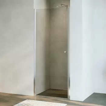 Душевая дверь в нишу RGW Dolphin TN-03 90x195 профиль хром, стекло прозрачное