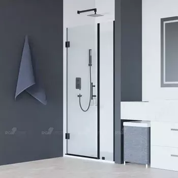 Душевая дверь в нишу RGW Hotel HO-012B 120х195 профиль черный, стекло прозрачное