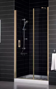 Душевая дверь в нишу Vegas Glass EP-F-1 0120 05 01 L профиль бронза, стекло прозрачное