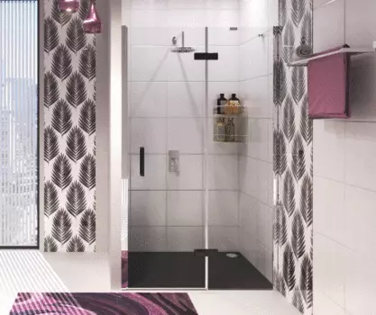 Душевая дверь в нишу WasserKRAFT Aller Black MATT 10H05LBLACK 120х200 см