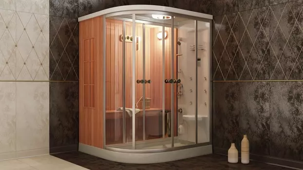 Душевая кабина Frank F915L с финской сауной, левая