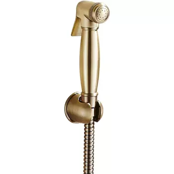 Душевая лейка ESKO BH3in1 бронза сатин