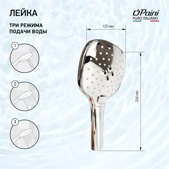 Душевая лейка Paini Pescara хром PSCR155F3D120