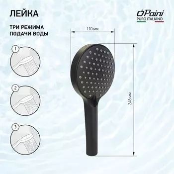 Душевая лейка Paini Torino черная TRYO155F3D110