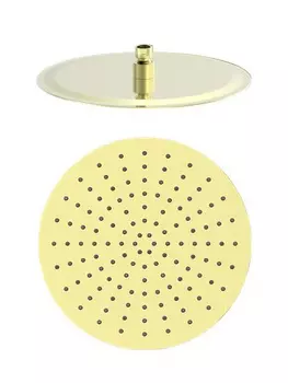 Душевая лейка Wonzon & Woghand WW-88DP04-BG золото
