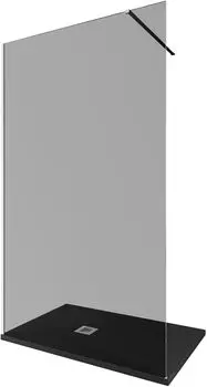 Душевая перегородка Allen Brau Infinity 3.21020.BA.T 120х200 см