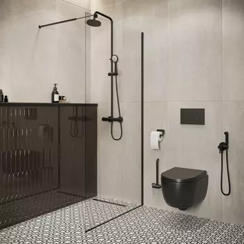 Душевая перегородка Artemis Akabe 110х200 профиль черный