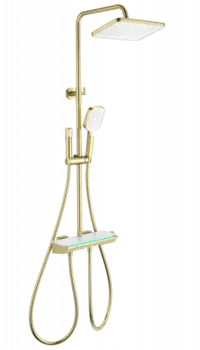 Душевой гарнитур Wonzon & Woghand WW-B4174-BG золото