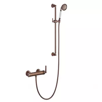 Душевой комплект Swedbe Terracotta Art 2513 со смесителем