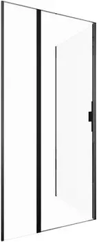 Душевой уголок Allen Brau Priority 3.31030.BBA + 3.31042.BBA 100х200 см