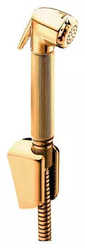 Гигиенический душ Bossini Nikita C04045 ORO золото