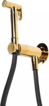 Гигиенический душ Cezares Leaf DIF-PO С ВНУТРЕННЕЙ ЧАСТЬЮ, золото