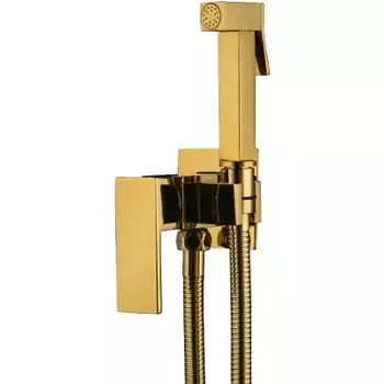 Гигиенический душ Frap F7506-3 со смесителем, золото