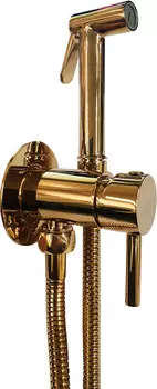 Гигиенический душ Paffoni Tweet Round ZDUP110HG со смесителем, золото