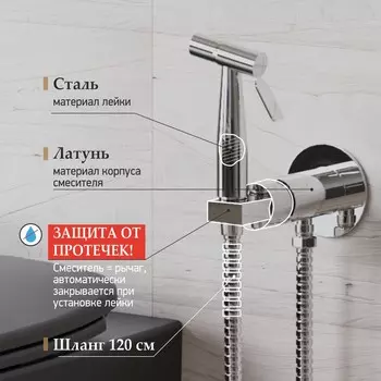 Гигиенический душ Paini Castello хром CACR442R