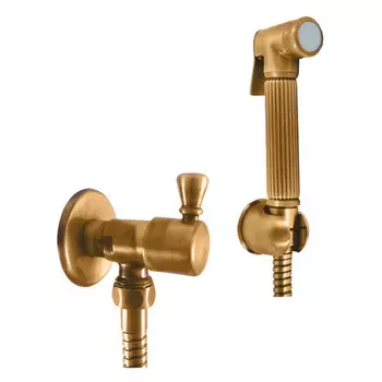 Гигиенический душ Rav Slezak Morava MK548Z золото