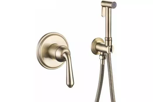 Гигиенический душ Rose R0205Q бронза