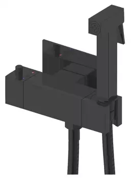 Гигиенический душ Rose R965H с термостатом черный