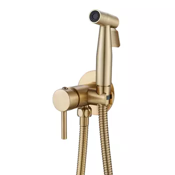 Гигиенический душ Shevanik S147G золотой сатин