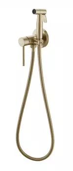 Гигиенический душ Voda Vessel Gold VSL01G золото