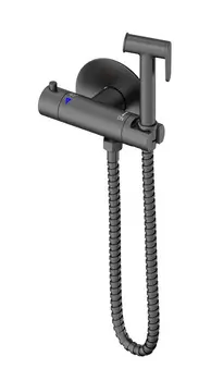 Гигиенический душ Wonzon & Woghand WW-88819902-BGM темный графит