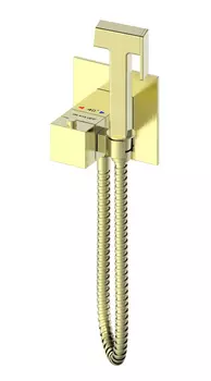 Гигиенический душ Wonzon & Woghand WW-88829910-BG золото