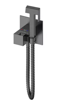 Гигиенический душ Wonzon & Woghand WW-88829910-BGM темный графит