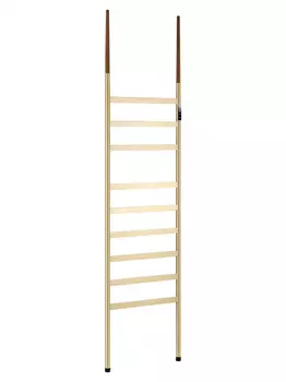 Электрический полотенцесушитель Wonzon & Woghand BREMEN WW-A207-BG 180х45 см, золото