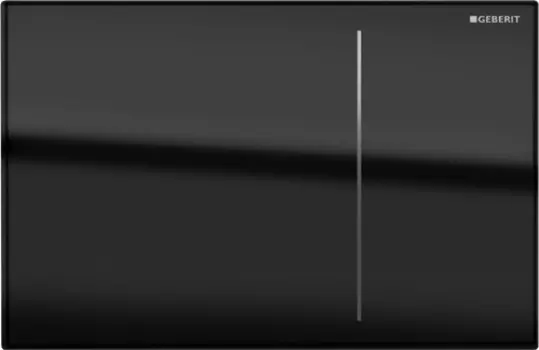 Кнопка смыва Geberit Sigma 70 115.625.SJ.1 черный