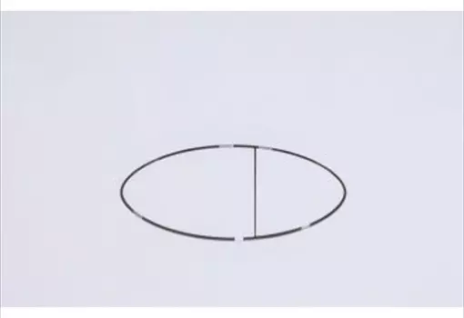 Кнопка смыва Logan Oval 00297677 двойная, White