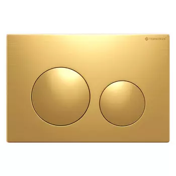 Кнопка смыва Terminus 62K24х16G золото