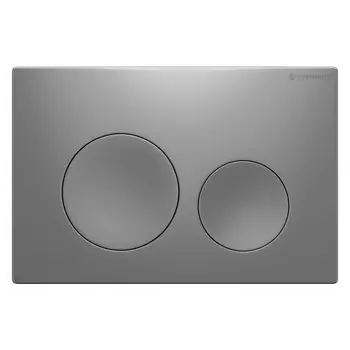 Кнопка смыва Terminus 62K24х16M матовый хром