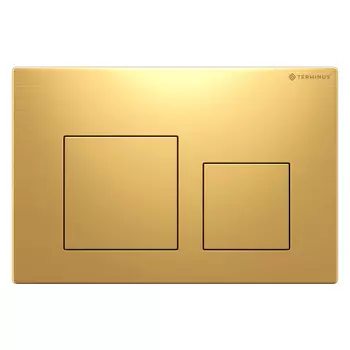 Кнопка смыва Terminus 82K24х16G золото