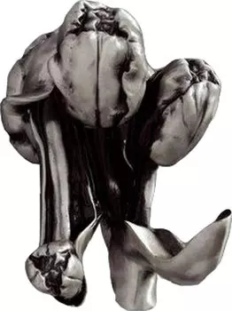 Крючок Art&amp;Max Tulip AM-0822-T