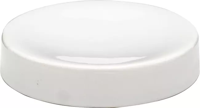 Мыльница Ridder Pure 2125301 белая