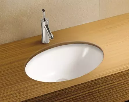 Раковина WeltWasser SK DEILBACH 6005 белая глянец