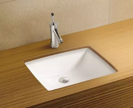 Раковина WeltWasser SK DEILBACH 6007 белая глянец