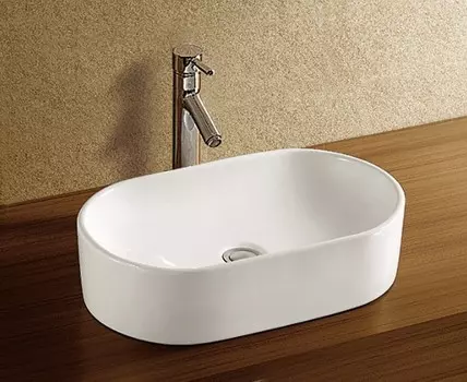 Раковина WeltWasser SK ELBACH 1048 накладная белая глянец