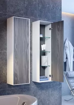 Шкаф-пенал Aqwella Genesis 35 миллениум серый