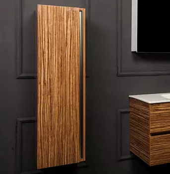 Шкаф-пенал Armadi Art Valessi зебрано глянец