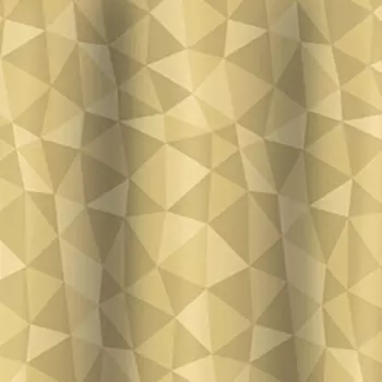 Штора для ванной Bacchetta Diamante бежевая 240х200