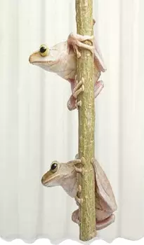 Штора для ванной Bath Plus Студия Рrint DSP3017