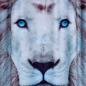 Штора для ванной Ridder Leo 42163000 180x200