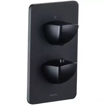 Смеситель Allen Brau Infinity 5.21216-31 для душа (с внутренней частью) черный матовый