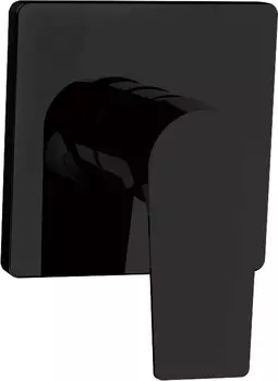 Смеситель Aquanet Static Black AF330-50B с внутренней частью, для душа, черный