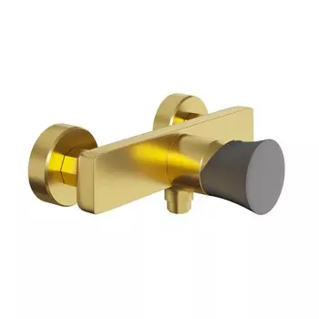 Смеситель для душа Paini Domus 18PJ511PZ золото брашированное