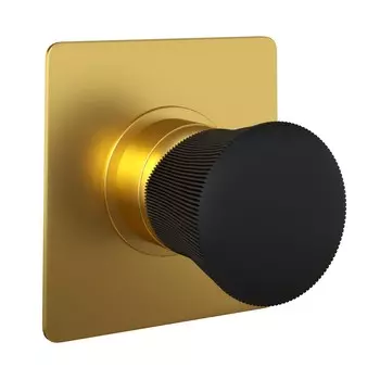 Смеситель для душа Paini Domus 18PJ690PZ золото брашированное